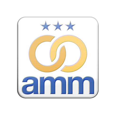 AMM Lapel Pin